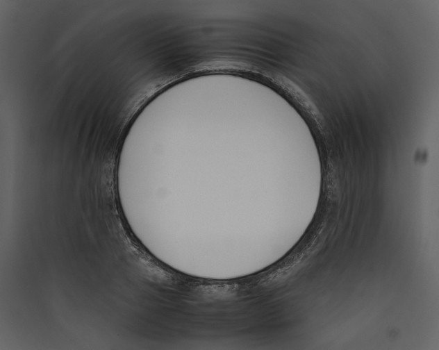 X0000089400937200707131737