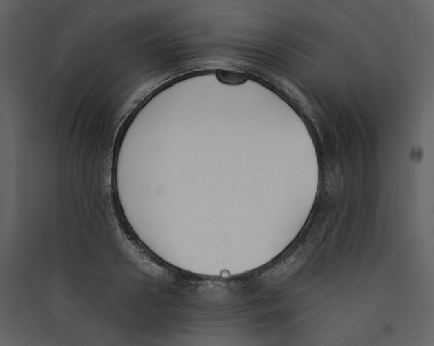 X0000089400938200707131737