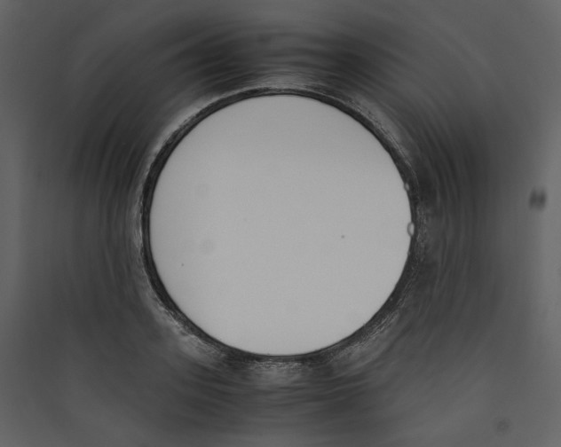X0000089400939200707131737