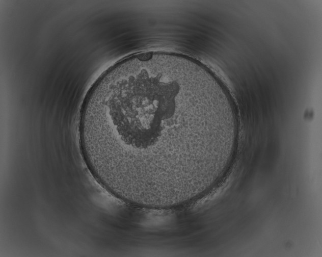 X0000089400941200707131737