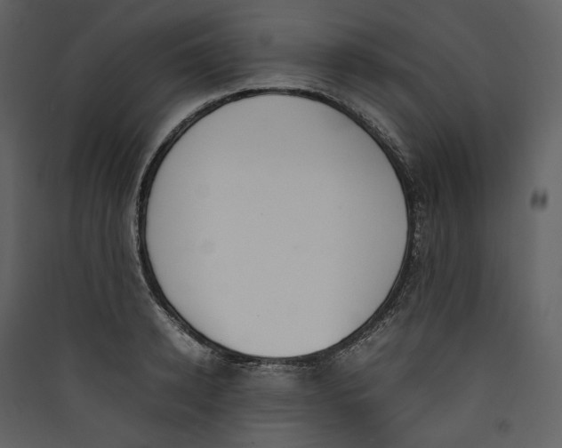 X0000089400942200707131737