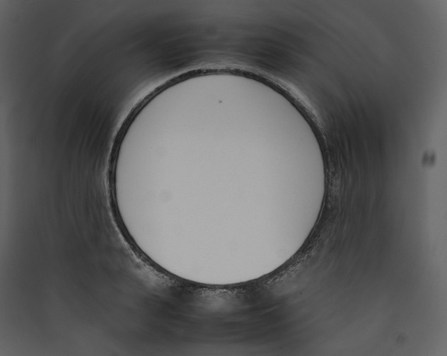 X0000089400943200707131737