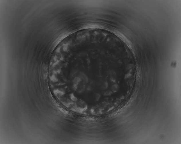 X0000089400945200707131737