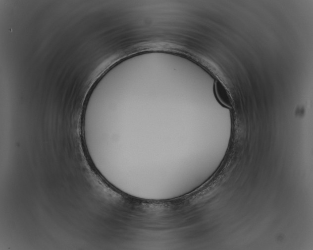 X0000089400946200707131737