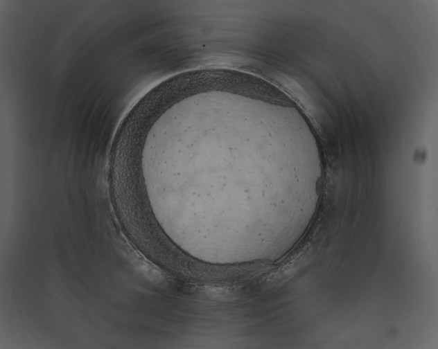 X0000089400948200707131737