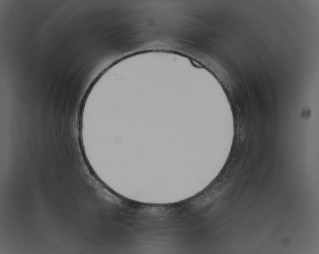 X0000089400950200707131737