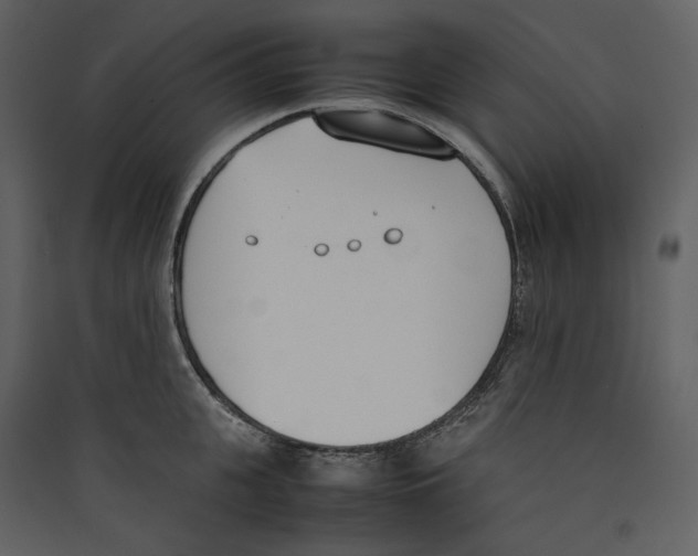 X0000089400951200707131737