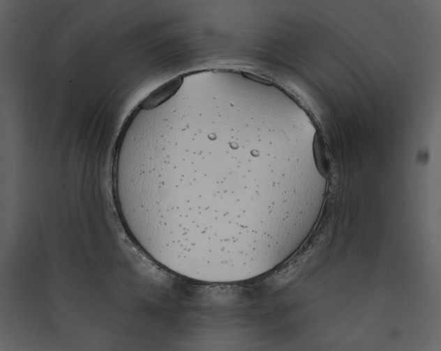 X0000089400952200707131737