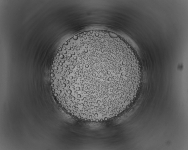 X0000089400953200707131737
