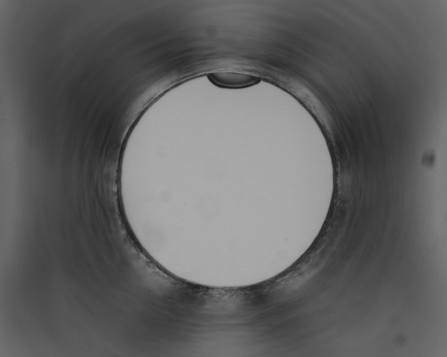 X0000089400954200707131737