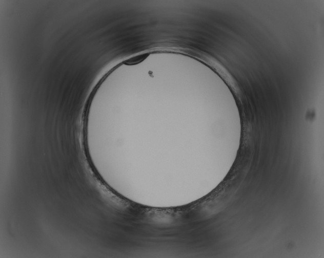 X0000089400955200707131737
