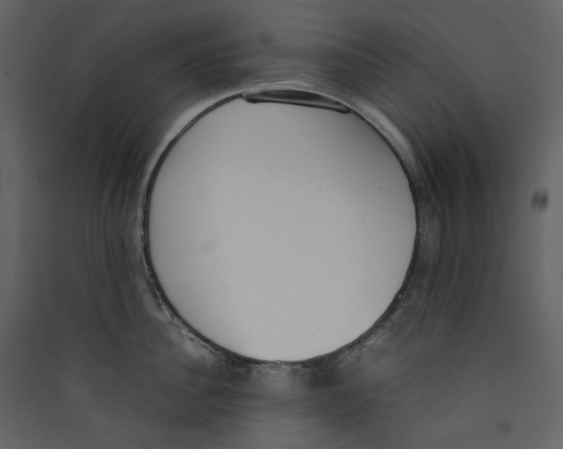 X0000089400956200707131737