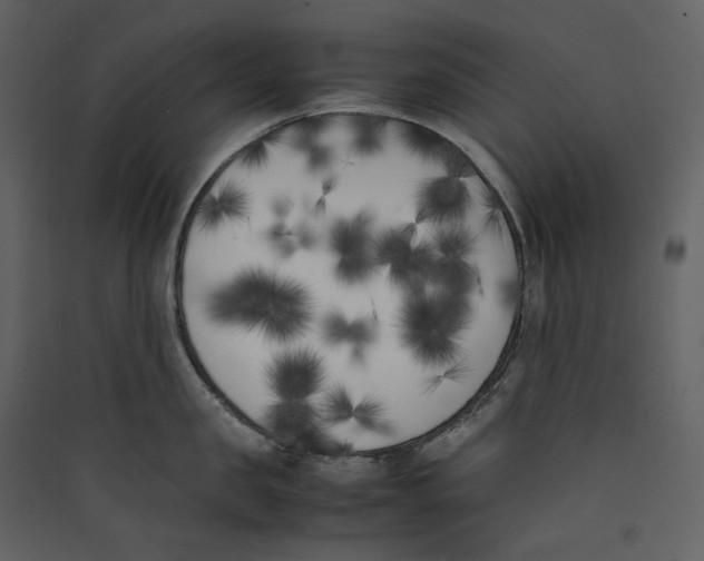 X0000089400957200707131737