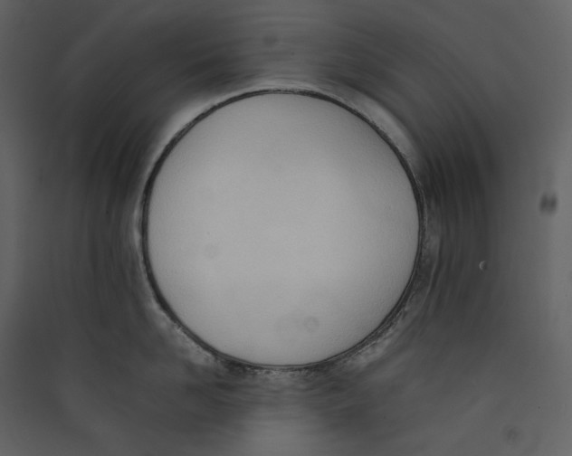 X0000089400958200707131737
