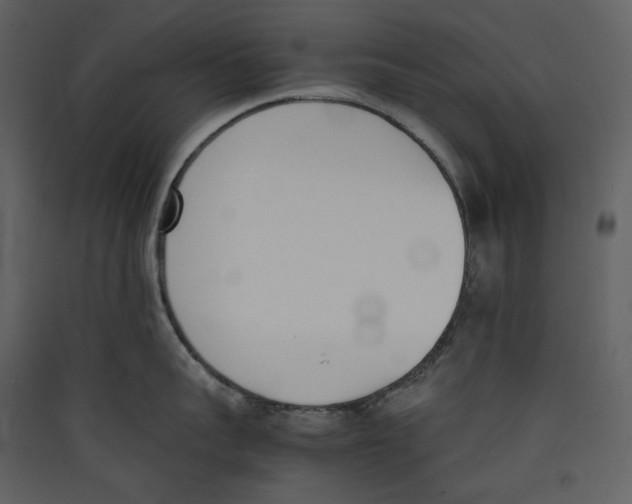 X0000089400959200707131737