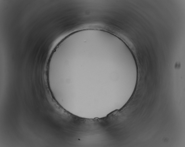X0000089400960200707131737