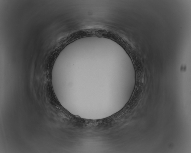 X0000089400965200707131737