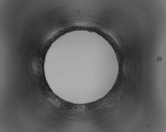 X0000089400968200707131737