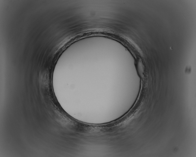 X0000089400969200707131736