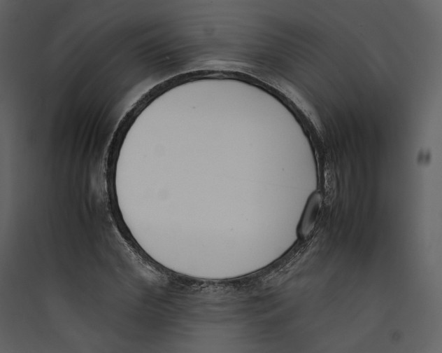 X0000089400972200707131736