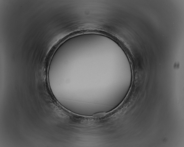 X0000089400973200707131736