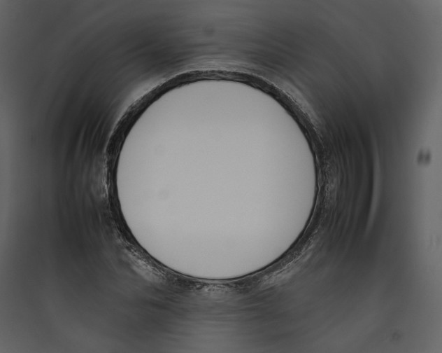 X0000089400974200707131736