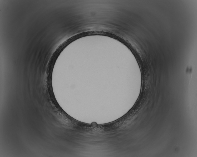 X0000089400975200707131736