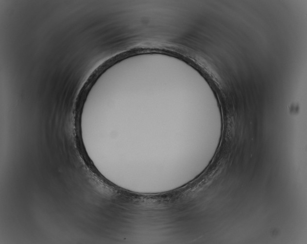 X0000089400976200707131736