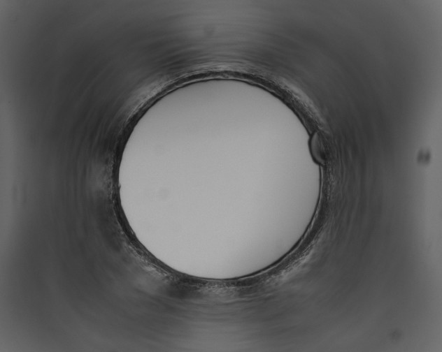 X0000089400977200707131736