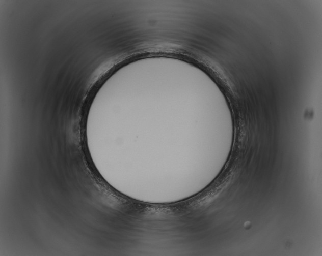 X0000089400978200707131736