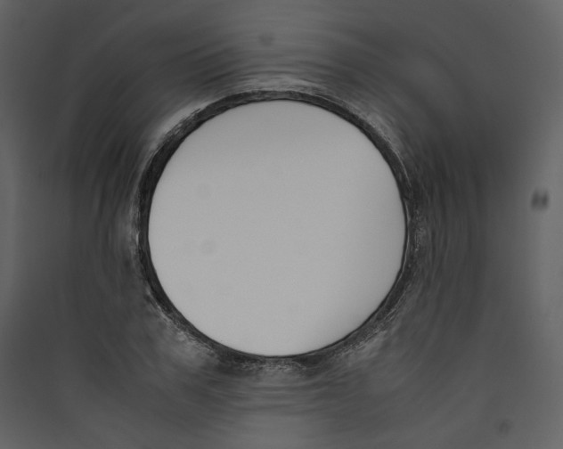 X0000089400979200707131736