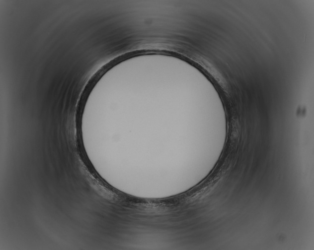 X0000089400980200707131736