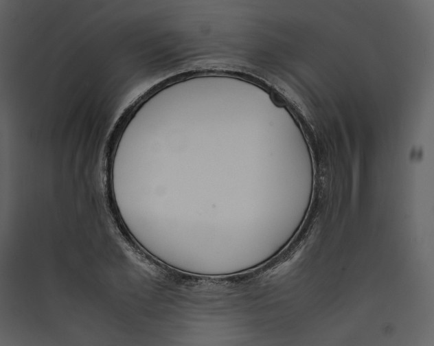 X0000089400981200707131736