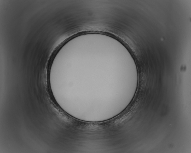X0000089400982200707131736