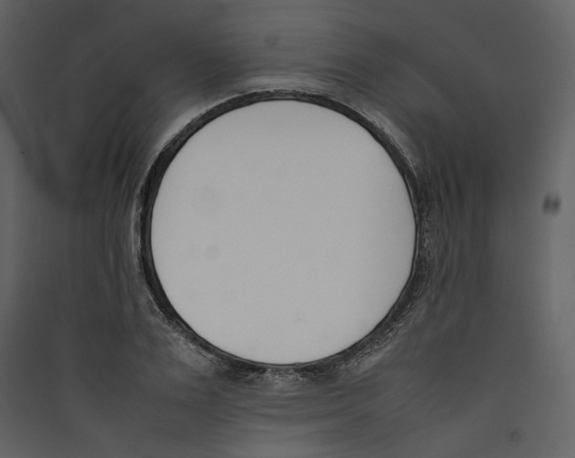 X0000089400983200707131736