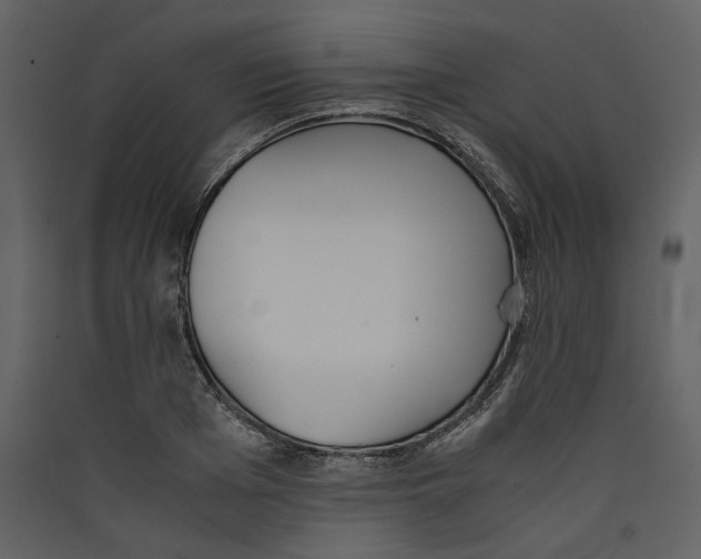 X0000089400985200707131736