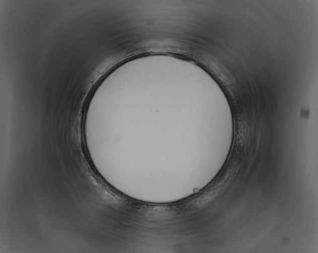 X0000089400986200707131736