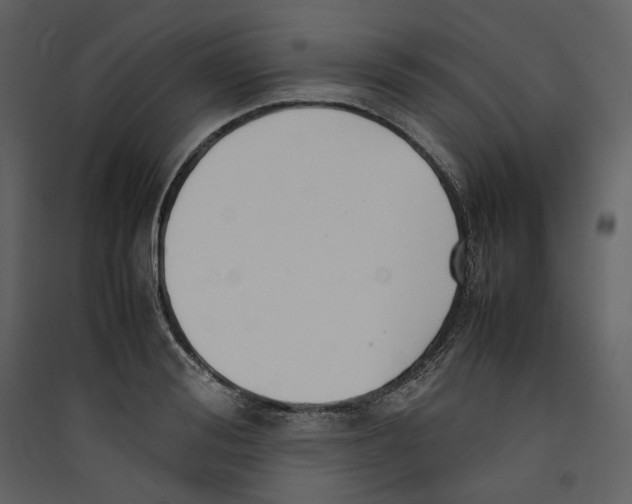 X0000089400988200707131736