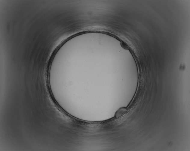 X0000089400989200707131736