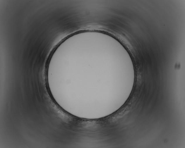 X0000089400990200707131736