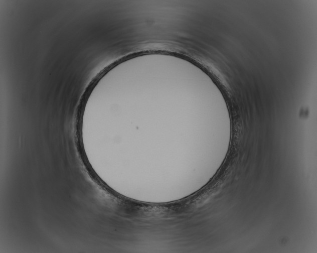 X0000089400991200707131736
