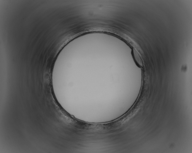 X0000089400993200707131736