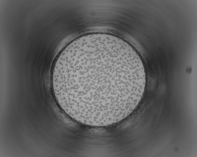 X0000089400994200707131736