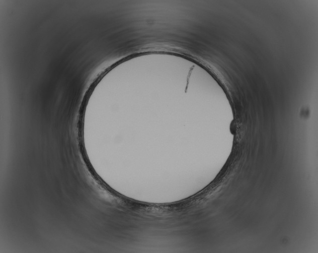 X0000089400995200707131736