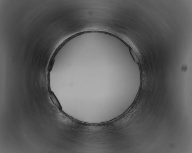 X0000089400996200707131736