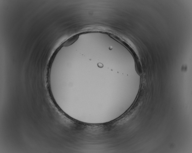 X0000089400997200707131736