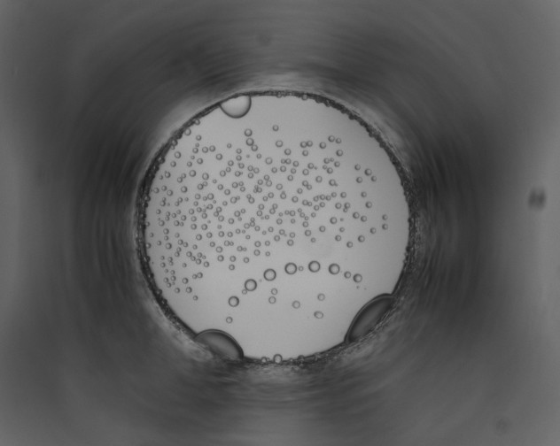 X0000089400998200707131736