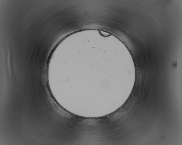 X0000089401000200707131736