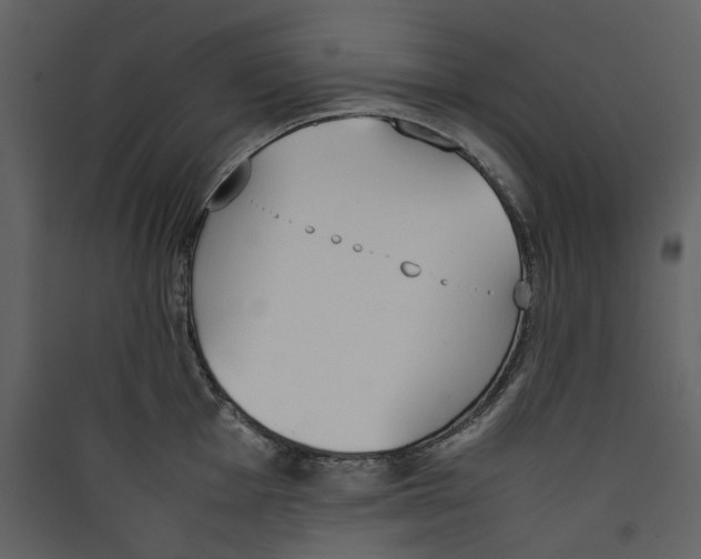 X0000089401001200707131736