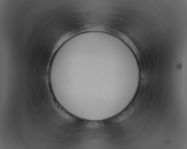X0000089401002200707131736